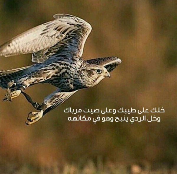 1000020130.jpg