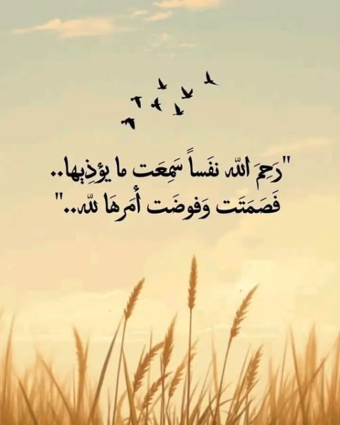 1784698106730.png