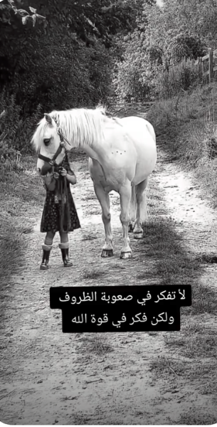 1786119528931.png