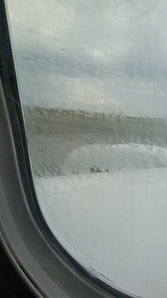 20260713_141355.jpg