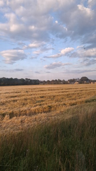 20260713_210318.jpg