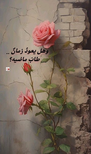 FB_IMG_1779964549360.jpg
