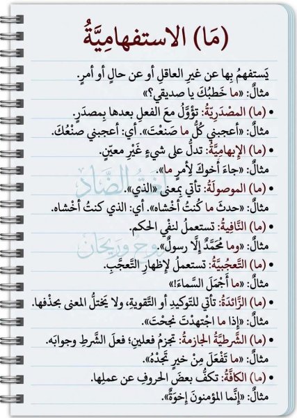 FB_IMG_1782728865282.jpg