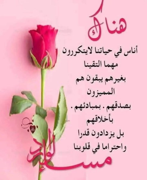 FB_IMG_1783605211233.jpg