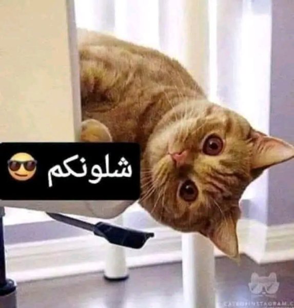 FB_IMG_1786358313977.jpg