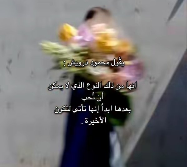 Screenshot_٢٠٢٦٠٥١٨-٢٢٤٢٠٠_Instagram.jpg