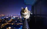1702741158288.png