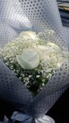 ورد ابيض بسله.jpg