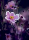 IMG_7448.jpeg