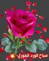 FB_IMG_1703197364949.jpg
