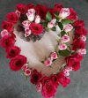 FB_IMG_1703324620482.jpg