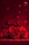 FB_IMG_1703274456571.jpg