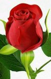 FB_IMG_1703263922292.jpg