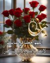 FB_IMG_1703539386592.jpg