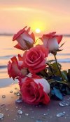 FB_IMG_1703686496889.jpg