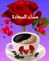 FB_IMG_1703803930814.jpg