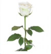 98DC9347-9E4E-48C6-B658-BADED5F61C32.png