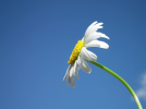 1704302311251.png