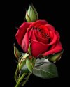 FB_IMG_1704494368886.jpg