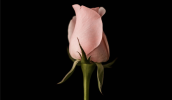 1705047215688.png 1705047215688.png