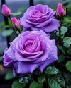 FB_IMG_1705009128093.jpg
