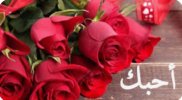 Screenshot_٢٠٢٤٠١١٢_١٥٥٩٠٦_Google.jpg