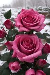 FB_IMG_1705009167989.jpg