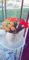 1705134365232.png