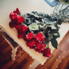 ob_82154c_3b715fce-5710-4efb-97d5-f27512eb0964.gif