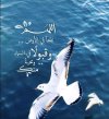 ٢٠٢٤٠١١١_١٥٣٧٠٦.jpg