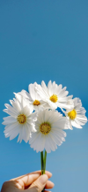 1705941715817.png