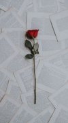 IMG-20240123-WA0000.jpg