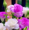 46055FF7-02EA-4BD2-93F2-01609DB84C19.jpeg