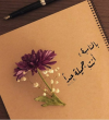 1706271642538.png