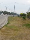 IMG_20240201_074148_045.jpg
