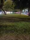 IMG_20240205_003302_730.jpg