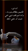 1707603314117.png