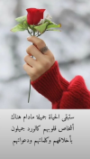 1707606752103.png
