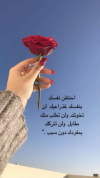 1707607500176.png