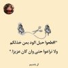 FB_IMG_1707748852112.jpg