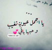 1708128166798.png