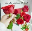 Screenshot_٢٠٢٤٠٢١٠_٠٣٥٢٢٦_Google.jpg