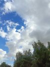 IMG_20240221_143510_959.jpg