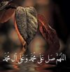 ٢٠٢٤٠٢٢٨_١١٤٩٣٣.jpg