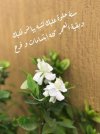 29eead8ea94ca12d8d145824adc366f7.jpg 29eead8ea94ca12d8d145824adc366f7.jpg