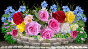 1709530946112.png 1709530946112.png