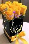 IMG-20230922-WA0000.jpg