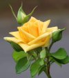 01be2d102dcff4185fd04cb29376f22a.jpg