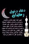 f30ba5b9090dd00ed3caa634b04884b3.jpg