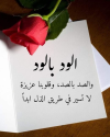 1710371088117.png